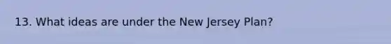 13. What ideas are under the <a href='https://www.questionai.com/knowledge/kpMluHBsRy-new-jersey-plan' class='anchor-knowledge'>new jersey plan</a>?