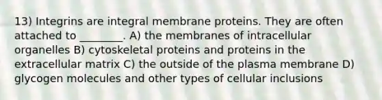 13) Integrins are integral membrane proteins. They are often attached to ________. A) the membranes of intracellular organelles B) cytoskeletal proteins and proteins in the extracellular matrix C) the outside of the plasma membrane D) glycogen molecules and other types of cellular inclusions