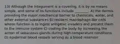 13) Although the integument is a covering, it is by no means simple, and some of its functions include ________. A) the dermis providing the major mechanical barrier to chemicals, water, and other external substances B) resident macrophage-like cells whose function is to ingest antigenic invaders and present them to the immune system C) cooling the body by increasing the action of sebaceous glands during high-temperature conditions D) epidermal blood vessels serving as a blood reservoir