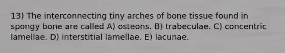 13) The interconnecting tiny arches of bone tissue found in spongy bone are called A) osteons. B) trabeculae. C) concentric lamellae. D) interstitial lamellae. E) lacunae.