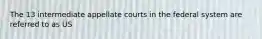 The 13 intermediate appellate courts in the federal system are referred to as US