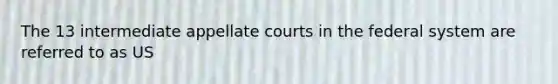 The 13 intermediate appellate courts in the federal system are referred to as US