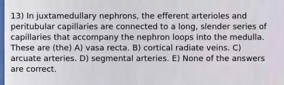 13) In juxtamedullary nephrons, the efferent arterioles and peritubular capillaries are connected to a long, slender series of capillaries that accompany the nephron loops into the medulla. These are (the) A) vasa recta. B) cortical radiate veins. C) arcuate arteries. D) segmental arteries. E) None of the answers are correct.