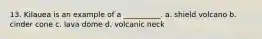 13. Kilauea is an example of a __________. a. shield volcano b. cinder cone c. lava dome d. volcanic neck