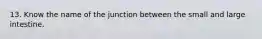 13. Know the name of the junction between the small and large intestine.