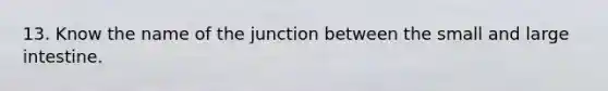 13. Know the name of the junction between the small and <a href='https://www.questionai.com/knowledge/kGQjby07OK-large-intestine' class='anchor-knowledge'>large intestine</a>.