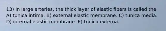 13) In large arteries, the thick layer of elastic fibers is called the A) tunica intima. B) external elastic membrane. C) tunica media. D) internal elastic membrane. E) tunica externa.