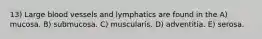 13) Large blood vessels and lymphatics are found in the A) mucosa. B) submucosa. C) muscularis. D) adventitia. E) serosa.