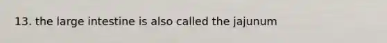 13. the large intestine is also called the jajunum