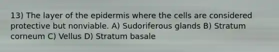 13) The layer of <a href='https://www.questionai.com/knowledge/kBFgQMpq6s-the-epidermis' class='anchor-knowledge'>the epidermis</a> where the cells are considered protective but nonviable. A) Sudoriferous glands B) Stratum corneum C) Vellus D) Stratum basale