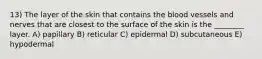 13) The layer of the skin that contains the blood vessels and nerves that are closest to the surface of the skin is the ________ layer. A) papillary B) reticular C) epidermal D) subcutaneous E) hypodermal