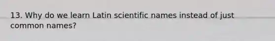 13. Why do we learn Latin scientific names instead of just common names?