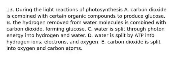 13. During the light reactions of photosynthesis A. carbon dioxide is combined with certain organic compounds to produce glucose. B. the hydrogen removed from water molecules is combined with carbon dioxide, forming glucose. C. water is split through photon energy into hydrogen and water. D. water is split by ATP into hydrogen ions, electrons, and oxygen. E. carbon dioxide is split into oxygen and carbon atoms.