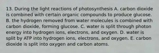 13. During the light reactions of photosynthesis A. carbon dioxide is combined with certain organic compounds to produce glucose. B. the hydrogen removed from water molecules is combined with carbon dioxide, forming glucose. C. water is split through photon energy into hydrogen ions, electrons, and oxygen. D. water is split by ATP into hydrogen ions, electrons, and oxygen. E. carbon dioxide is split into oxygen and carbon atoms.