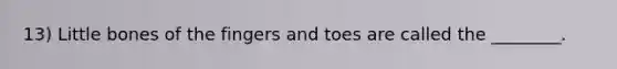 13) Little bones of the fingers and toes are called the ________.