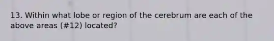 13. Within what lobe or region of the cerebrum are each of the above areas (#12) located?