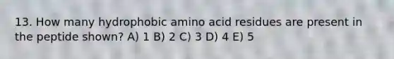 13. How many hydrophobic amino acid residues are present in the peptide shown? A) 1 B) 2 C) 3 D) 4 E) 5