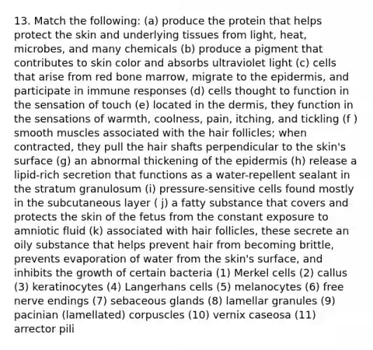 13. Match the following: (a) produce the protein that helps protect the skin and underlying tissues from light, heat, microbes, and many chemicals (b) produce a pigment that contributes to skin color and absorbs ultraviolet light (c) cells that arise from red bone marrow, migrate to the epidermis, and participate in immune responses (d) cells thought to function in the sensation of touch (e) located in the dermis, they function in the sensations of warmth, coolness, pain, itching, and tickling (f ) smooth muscles associated with the hair follicles; when contracted, they pull the hair shafts perpendicular to the skin's surface (g) an abnormal thickening of the epidermis (h) release a lipid-rich secretion that functions as a water-repellent sealant in the stratum granulosum (i) pressure-sensitive cells found mostly in the subcutaneous layer ( j) a fatty substance that covers and protects the skin of the fetus from the constant exposure to amniotic fluid (k) associated with hair follicles, these secrete an oily substance that helps prevent hair from becoming brittle, prevents evaporation of water from the skin's surface, and inhibits the growth of certain bacteria (1) Merkel cells (2) callus (3) keratinocytes (4) Langerhans cells (5) melanocytes (6) free nerve endings (7) sebaceous glands (8) lamellar granules (9) pacinian (lamellated) corpuscles (10) vernix caseosa (11) arrector pili