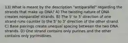 13) What is meant by the description "antiparallel" regarding the strands that make up DNA? A) The twisting nature of DNA creates nonparallel strands. B) The 5' to 3' direction of one strand runs counter to the 5' to 3' direction of the other strand. C) Base pairings create unequal spacing between the two DNA strands. D) One strand contains only purines and the other contains only pyrimidines.