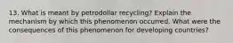 13. What is meant by petrodollar recycling? Explain the mechanism by which this phenomenon occurred. What were the consequences of this phenomenon for developing countries?