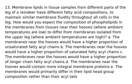 13. Membrane lipids in tissue samples from different parts of the leg of a reindeer have different fatty acid compositions, to maintain similar membrane fluidity throughout all cells in the leg. How would you expect the composition of phospholipids in the membranes from tissues near their hooves (where ambient temperatures are low) to differ from membranes isolated from the upper leg (where ambient temperatures are high)? a. The membranes near the hooves would have a higher proportion of unsaturated fatty acyl chains b. The membranes near the hooves would have a higher proportion of saturated fatty acyl chains c. The membranes near the hooves would have a higher proportion of longer chain fatty acyl chains d. The membranes near the hooves would contain more integral membrane proteins e. The membranes would primarily differ in their lipid head group composition rather than their acyl tails