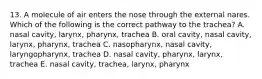 13. A molecule of air enters the nose through the external nares. Which of the following is the correct pathway to the trachea? A. nasal cavity, larynx, pharynx, trachea B. oral cavity, nasal cavity, larynx, pharynx, trachea C. nasopharynx, nasal cavity, laryngopharynx, trachea D. nasal cavity, pharynx, larynx, trachea E. nasal cavity, trachea, larynx, pharynx