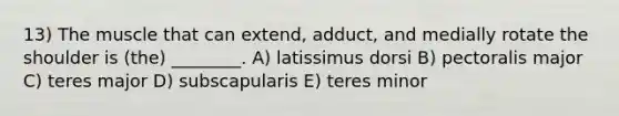 13) The muscle that can extend, adduct, and medially rotate the shoulder is (the) ________. A) latissimus dorsi B) pectoralis major C) teres major D) subscapularis E) teres minor