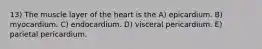 13) The muscle layer of the heart is the A) epicardium. B) myocardium. C) endocardium. D) visceral pericardium. E) parietal pericardium.