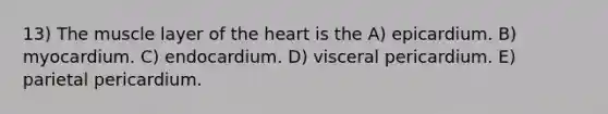 13) The muscle layer of the heart is the A) epicardium. B) myocardium. C) endocardium. D) visceral pericardium. E) parietal pericardium.