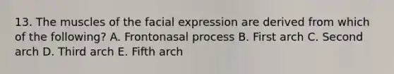 13. The muscles of the facial expression are derived from which of the following? A. Frontonasal process B. First arch C. Second arch D. Third arch E. Fifth arch