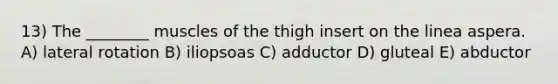 13) The ________ muscles of the thigh insert on the linea aspera. A) lateral rotation B) iliopsoas C) adductor D) gluteal E) abductor