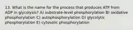 13. What is the name for the process that produces ATP from ADP in glycolysis? A) substrate-level phosphorylation B) oxidative phosphorylation C) autophosphorylation D) glycolytic phosphorylation E) cytosolic phosphorylation