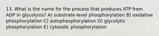 13. What is the name for the process that produces ATP from ADP in glycolysis? A) substrate-level phosphorylation B) oxidative phosphorylation C) autophosphorylation D) glycolytic phosphorylation E) cytosolic phosphorylation