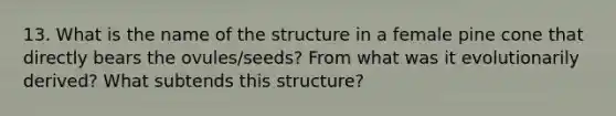 13. What is the name of the structure in a female pine cone that directly bears the ovules/seeds? From what was it evolutionarily derived? What subtends this structure?