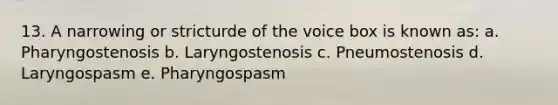 13. A narrowing or stricturde of the voice box is known as: a. Pharyngostenosis b. Laryngostenosis c. Pneumostenosis d. Laryngospasm e. Pharyngospasm