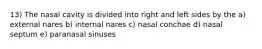 13) The nasal cavity is divided into right and left sides by the a) external nares b) internal nares c) nasal conchae d) nasal septum e) paranasal sinuses