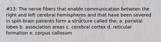 #13: The nerve fibers that enable communication between the right and left cerebral hemispheres and that have been severed in split-brain patients form a structure called the: a. parietal lobes b. association areas c. cerebral cortex d. reticular formation e. corpus callosum