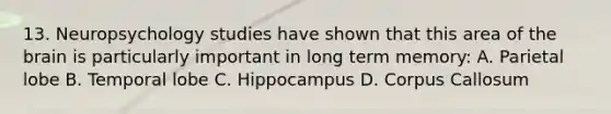 13. Neuropsychology studies have shown that this area of the brain is particularly important in long term memory: A. Parietal lobe B. Temporal lobe C. Hippocampus D. Corpus Callosum
