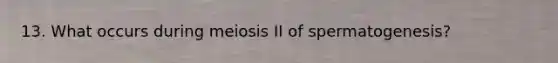 13. What occurs during meiosis II of spermatogenesis?