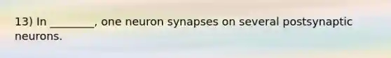 13) In ________, one neuron synapses on several postsynaptic neurons.