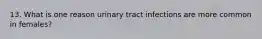 13. What is one reason urinary tract infections are more common in females?