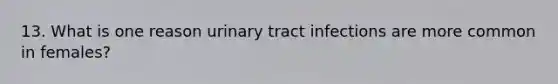 13. What is one reason urinary tract infections are more common in females?