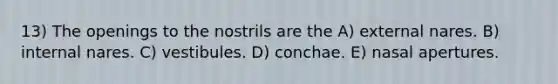 13) The openings to the nostrils are the A) external nares. B) internal nares. C) vestibules. D) conchae. E) nasal apertures.