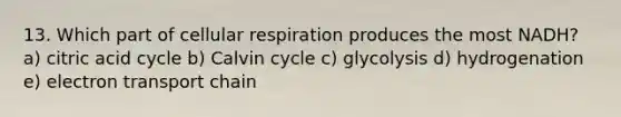 13. Which part of cellular respiration produces the most NADH? a) citric acid cycle b) Calvin cycle c) glycolysis d) hydrogenation e) electron transport chain