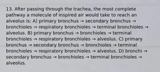 13. After passing through the trachea, the most complete pathway a molecule of inspired air would take to reach an alveolus is: A) primary bronchus → secondary bronchus → bronchioles → respiratory bronchioles → terminal bronchioles → alveolus. B) primary bronchus → bronchioles → terminal bronchioles → respiratory bronchioles → alveolus. C) primary bronchus → secondary bronchus → bronchioles → terminal bronchioles → respiratory bronchioles → alveolus. D) bronchi → secondary bronchus → bronchioles → terminal bronchioles → alveolus.