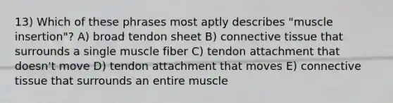 13) Which of these phrases most aptly describes "muscle insertion"? A) broad tendon sheet B) connective tissue that surrounds a single muscle fiber C) tendon attachment that doesn't move D) tendon attachment that moves E) connective tissue that surrounds an entire muscle