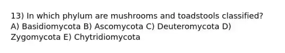 13) In which phylum are mushrooms and toadstools classified? A) Basidiomycota B) Ascomycota C) Deuteromycota D) Zygomycota E) Chytridiomycota