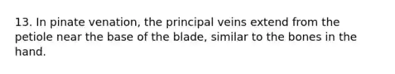 13. In pinate venation, the principal veins extend from the petiole near the base of the blade, similar to the bones in the hand.