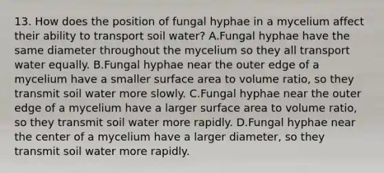 13. How does the position of fungal hyphae in a mycelium affect their ability to transport soil water? A.Fungal hyphae have the same diameter throughout the mycelium so they all transport water equally. B.Fungal hyphae near the outer edge of a mycelium have a smaller surface area to volume ratio, so they transmit soil water more slowly. C.Fungal hyphae near the outer edge of a mycelium have a larger surface area to volume ratio, so they transmit soil water more rapidly. D.Fungal hyphae near the center of a mycelium have a larger diameter, so they transmit soil water more rapidly.