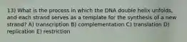 13) What is the process in which the DNA double helix unfolds, and each strand serves as a template for the synthesis of a new strand? A) transcription B) complementation C) translation D) replication E) restriction